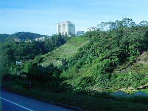 20110228malaysia (2).jpg